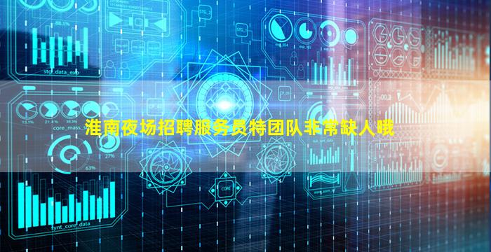 淮南夜场招聘服务员特团队非常缺人哦